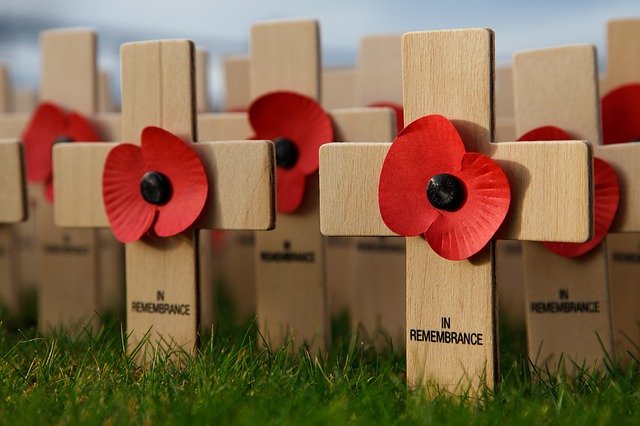 remembrance sunday poppies